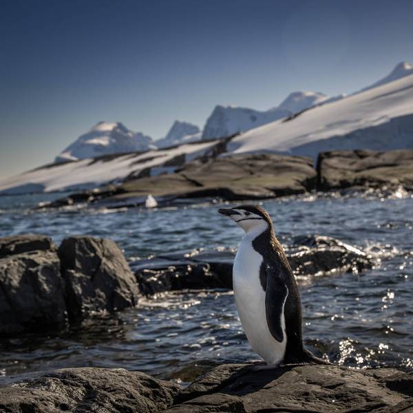 Turkiye's 10th National Antarctic Scientific Expedition has come to an end