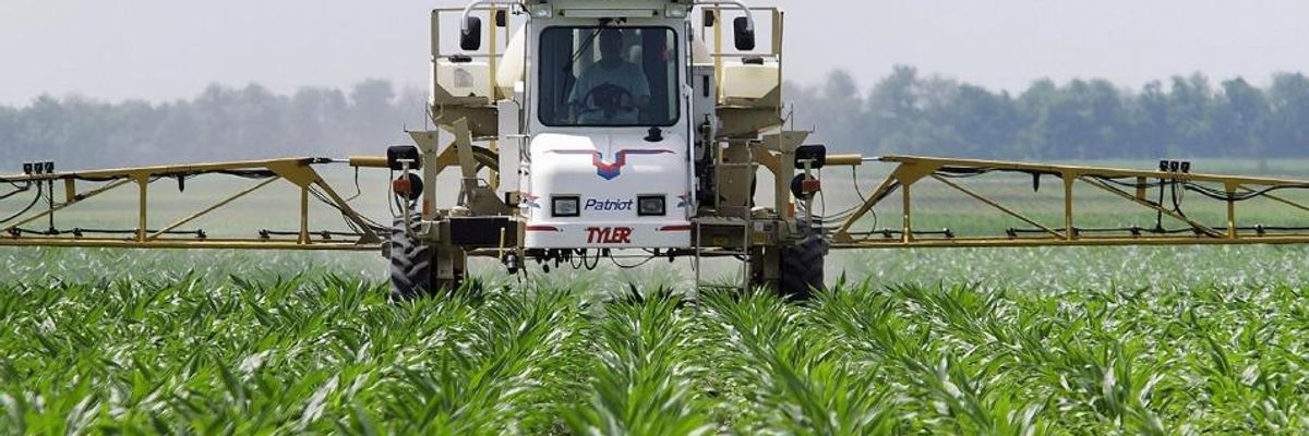 EPA Used Monsanto's Research to Give Roundup a Pass