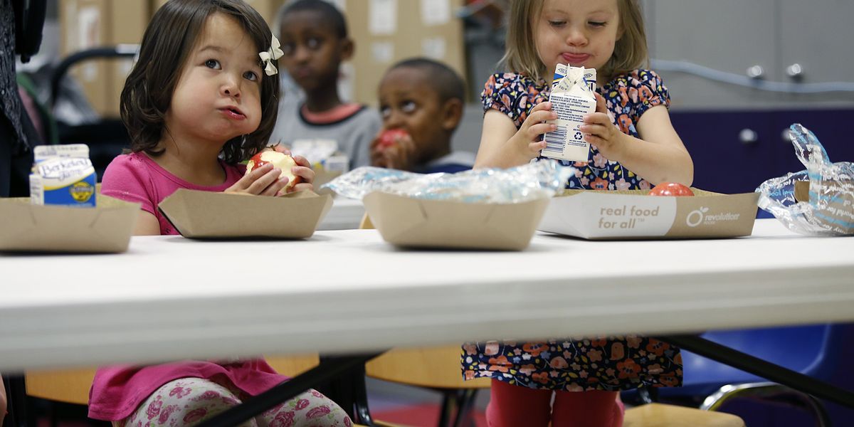 Opinion | Vote Like Your Child’s Health Depends on It Opinion | Vote Like Your Child’s Health Depends on It