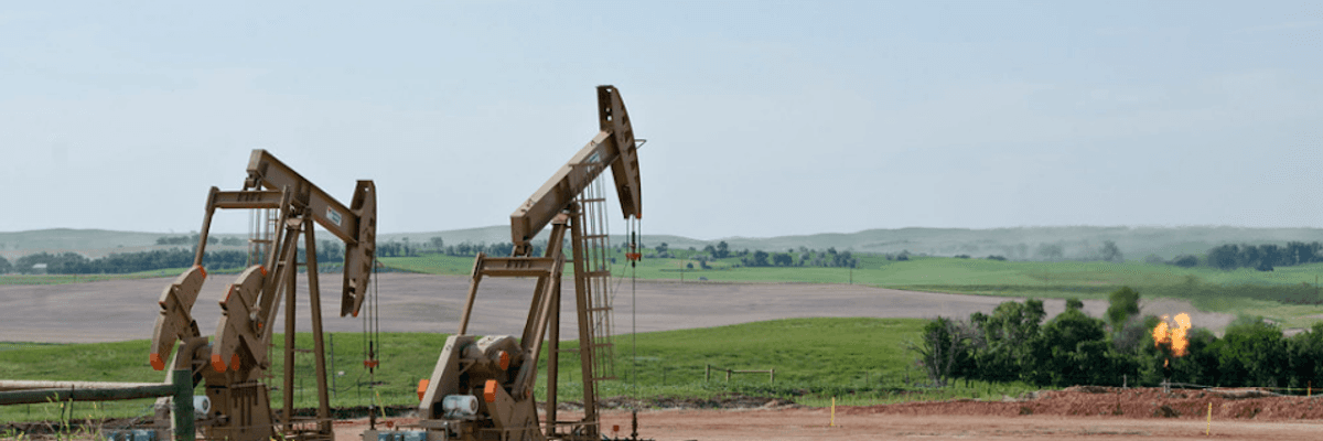 'Gross Mismanagement' of Public Lands: Trump Administration Urged to Cancel Planned Sales for Oil and Gas Drilling