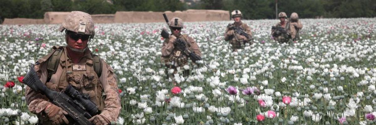 $7 Billion US Eradication Effort Delivers Record High Poppy Crop in Afghanistan