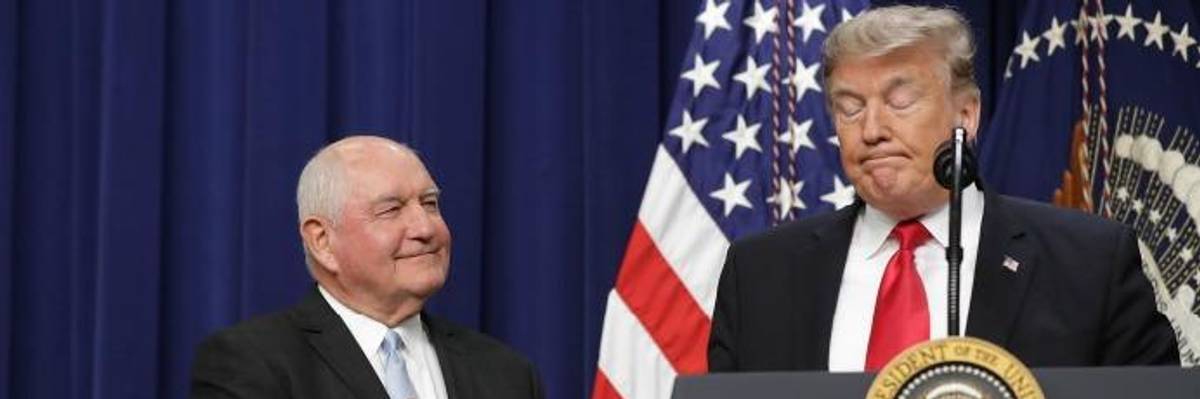 'Basic Human Decency' Wins as Judge Blocks 'Cruel to Its Core' Trump Effort to Strip Food Assistance From 700,000 People Amid COVID-19 Crisis