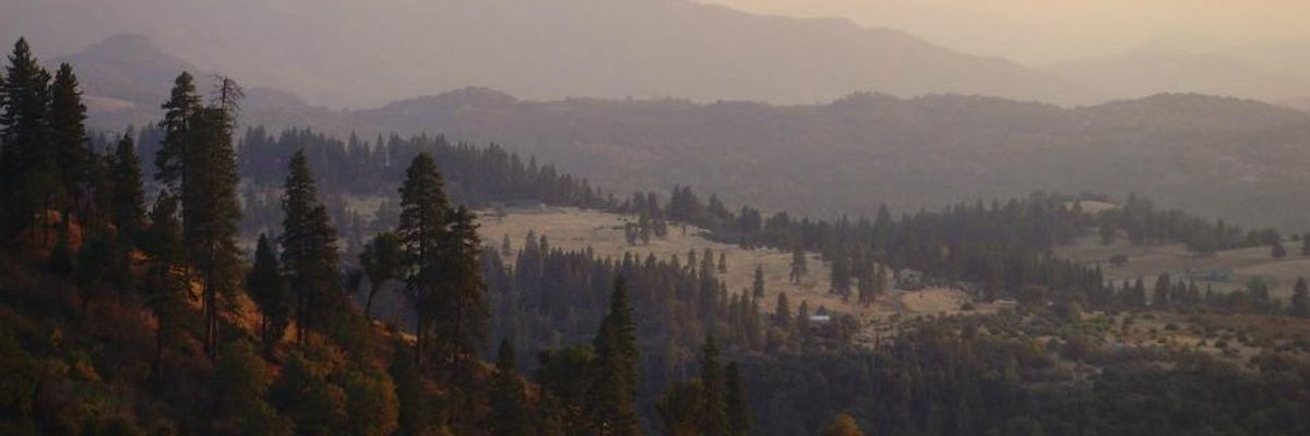 Trump Plan to Open National Forests to Oil and Gas Drilling Rebuked as Attack on Biodiversity and Indigenous Lands