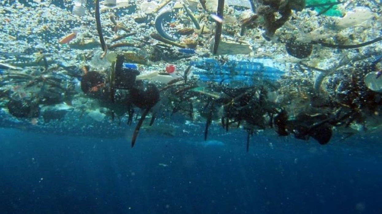 Underneath the floating debris in the Pacific Ocean