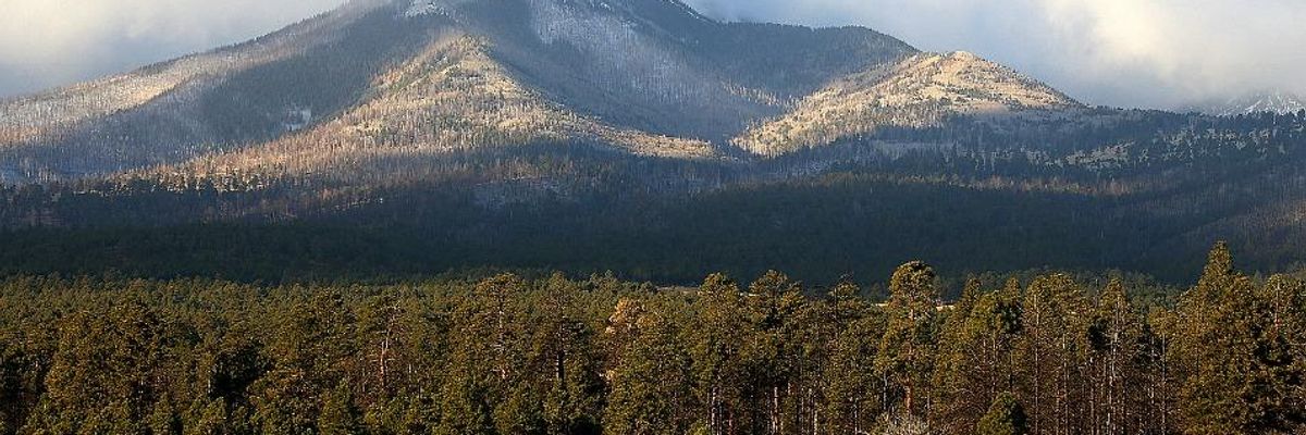 Notre Dame and the Fight for Sacred Lands