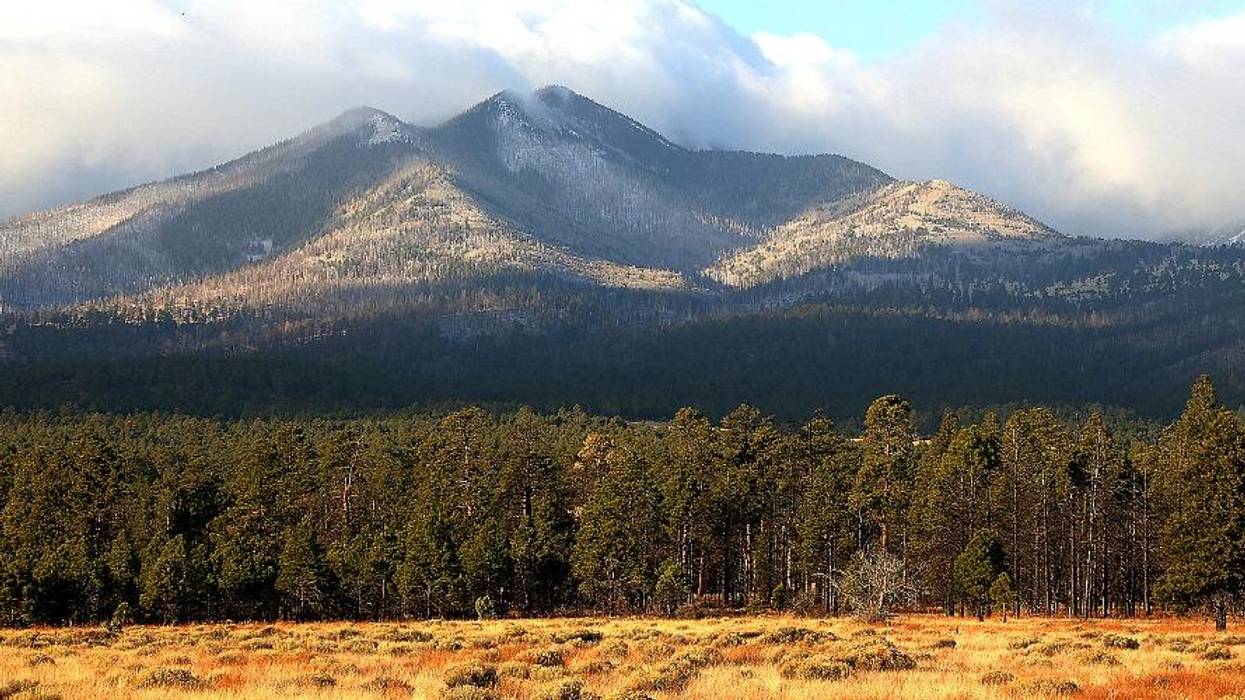 Notre Dame and the Fight for Sacred Lands