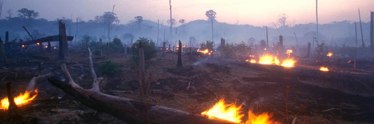 UN Report Calls for Transforming Land Practices to Battle Hunger and 'Suffocating Blanket of Climate Emergency'