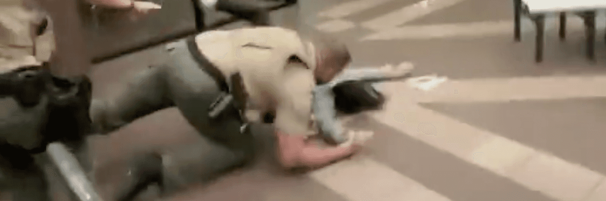 ‘This Is Assault’: Utah Woman Speaks Out After Cop Body Slammed Her at Data Center Protest
