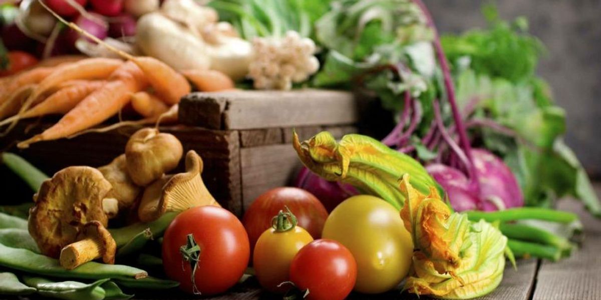 Frances Moore Lappé : vimarsana.com