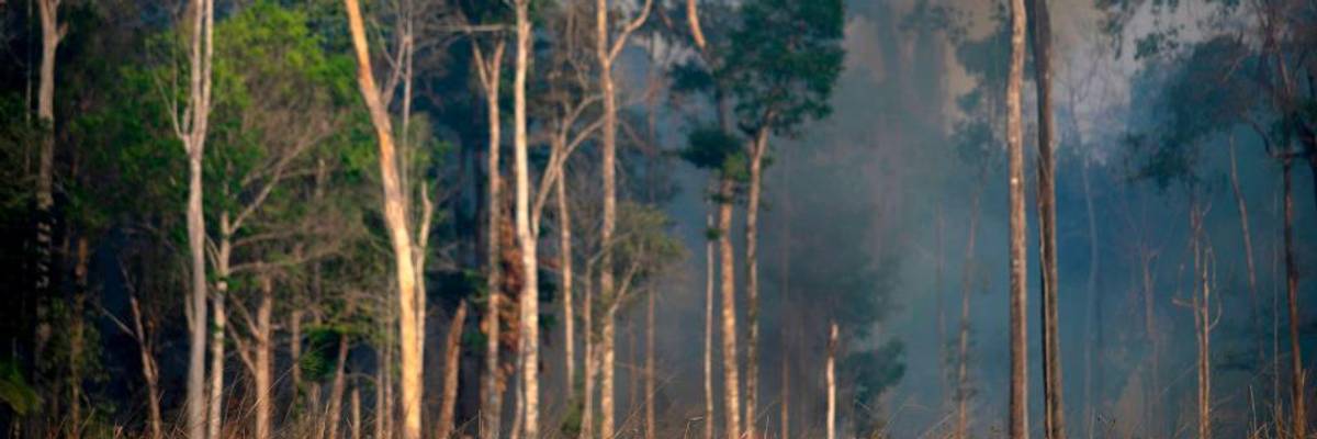 The Megamachine and the Roots of the Planetary Crisis