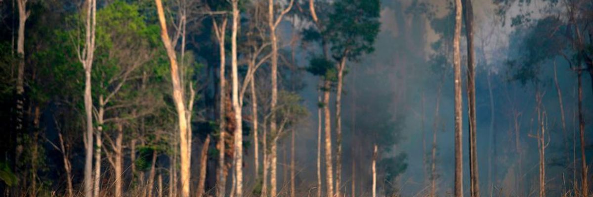 The Megamachine and the Roots of the Planetary Crisis