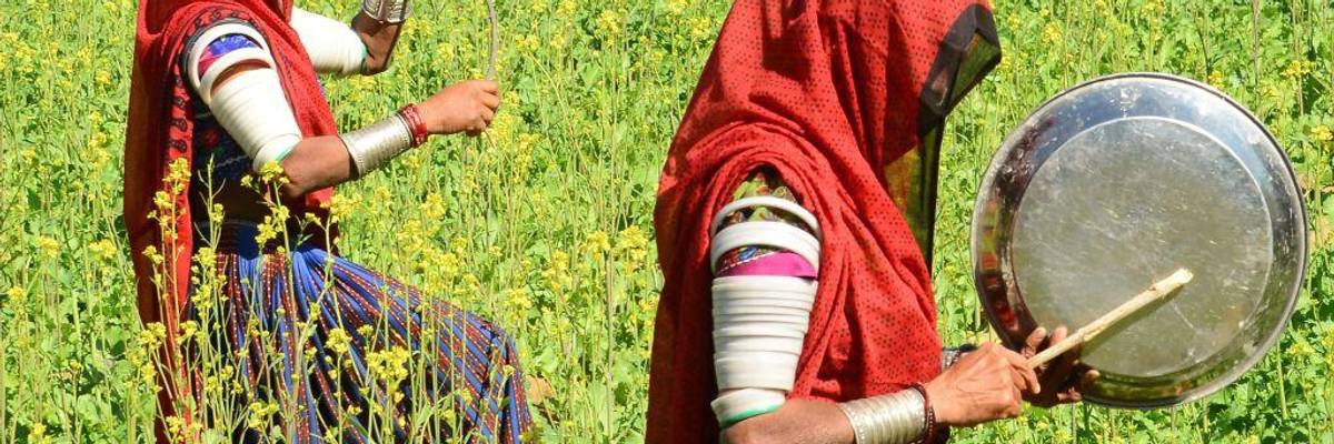 Sustainable Agriculture in the Face of the Climate Crisis: Farmers Leading the Battle in Asia