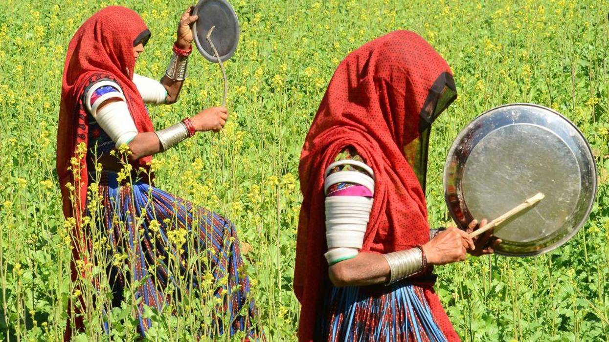 Sustainable Agriculture in the Face of the Climate Crisis: Farmers Leading the Battle in Asia