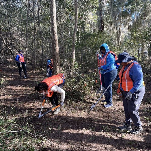 volunteers clean up a national park