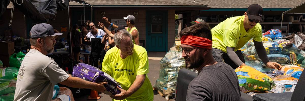 Volunteers pass pet food to each other in Maui.