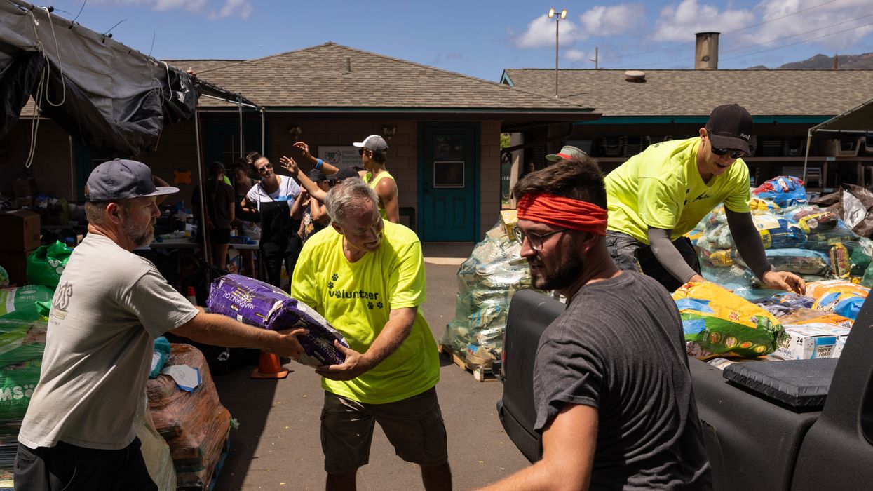 Volunteers pass pet food to each other in Maui.
