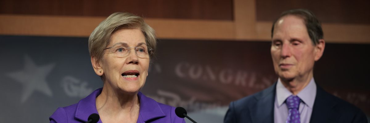 Warren and Wyden speak to press about DOGE.