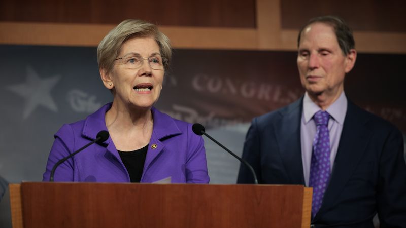 Warren and Wyden speak to press about DOGE.