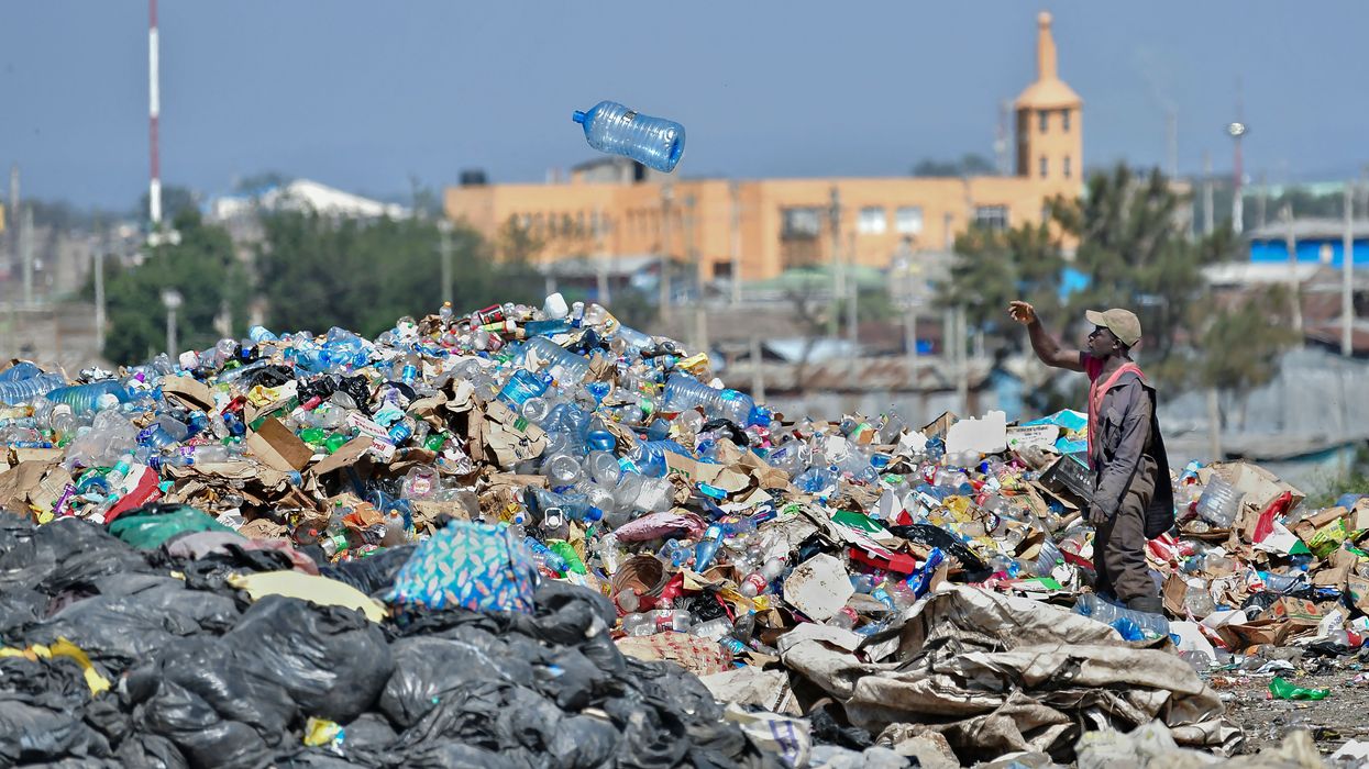 Waste picker sorting through dump for plastic.