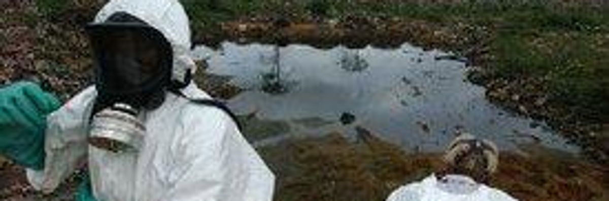 Report Urges Criminal Investigation into Lethal Toxic Waste Dumping in West Africa