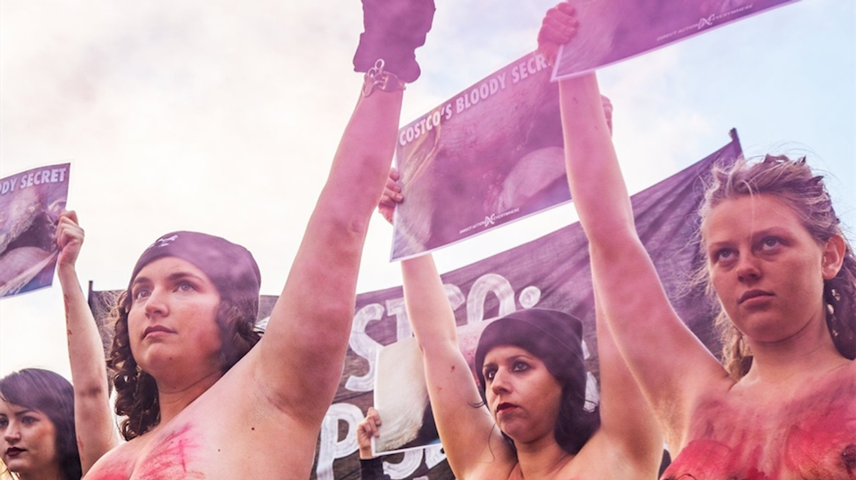 Why I Protested Costco, Topless