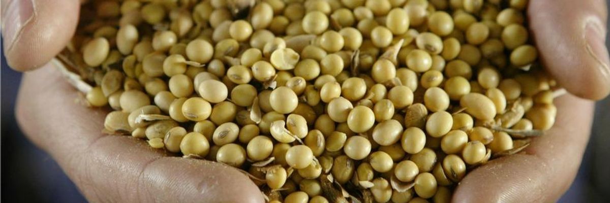 Corporate Fiction in the Age of GMOs