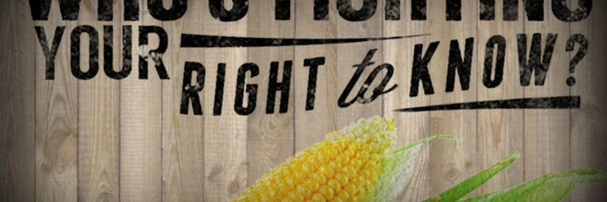 You Don't Matter. House Votes for Monsanto's Right to Deceive Consumers
