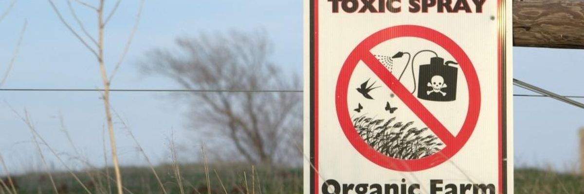 Six Rules for Organizing a Grassroots Regeneration Revolution