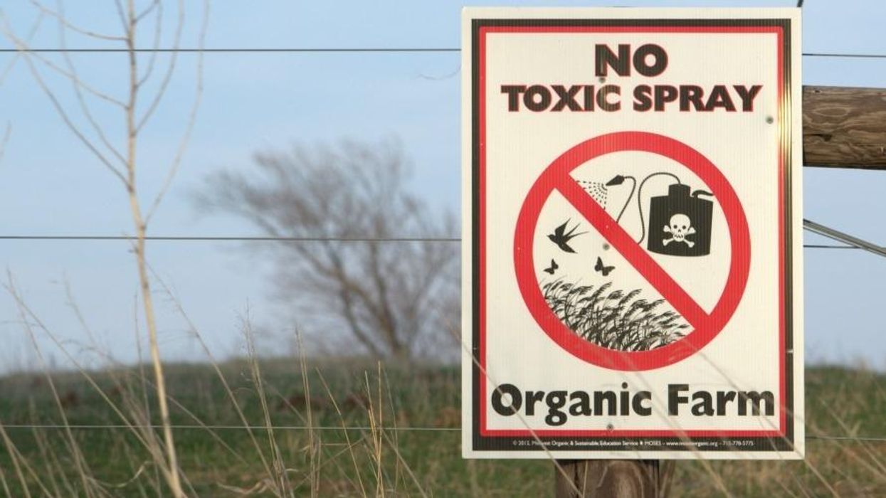 Six Rules for Organizing a Grassroots Regeneration Revolution