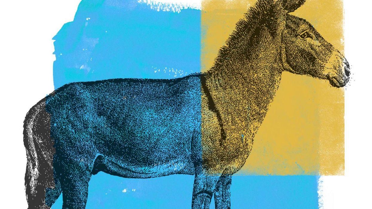 Everything That's Wrong with the Democratic 'Reboot' in One Lousy Op-Ed