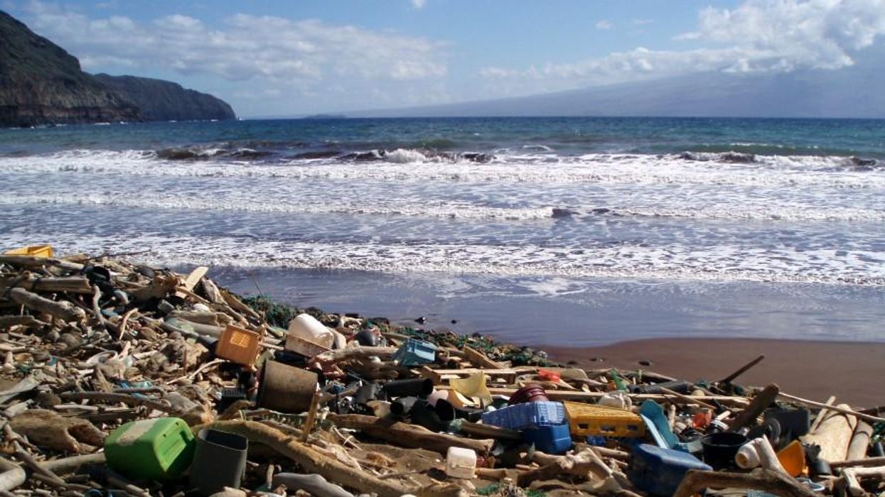 Tackling the Climate Emergency and Protecting Our Oceans Go Hand-in-Hand