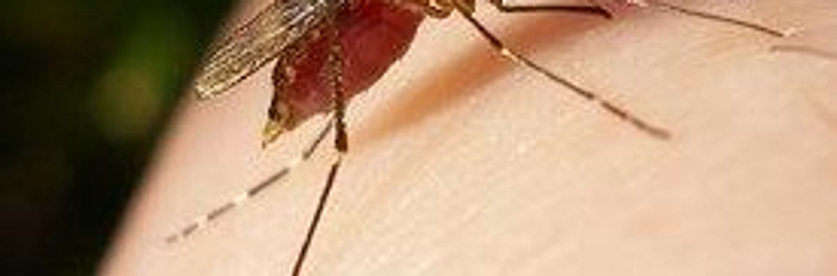 Soaring Number of West Nile Virus Cases Set to Increase with Climate Change