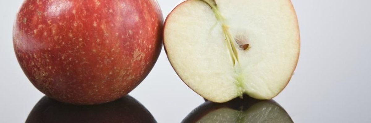 USDA Approves 'Untested, Inherently Risky' GMO Apple