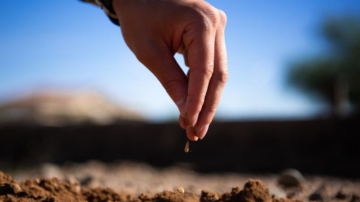 2020 Vision: A New Year's Regeneration