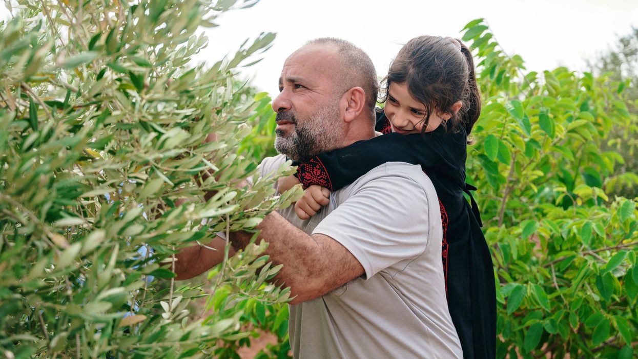 West Bank olive farmer Motaz Bisharat and daughter.