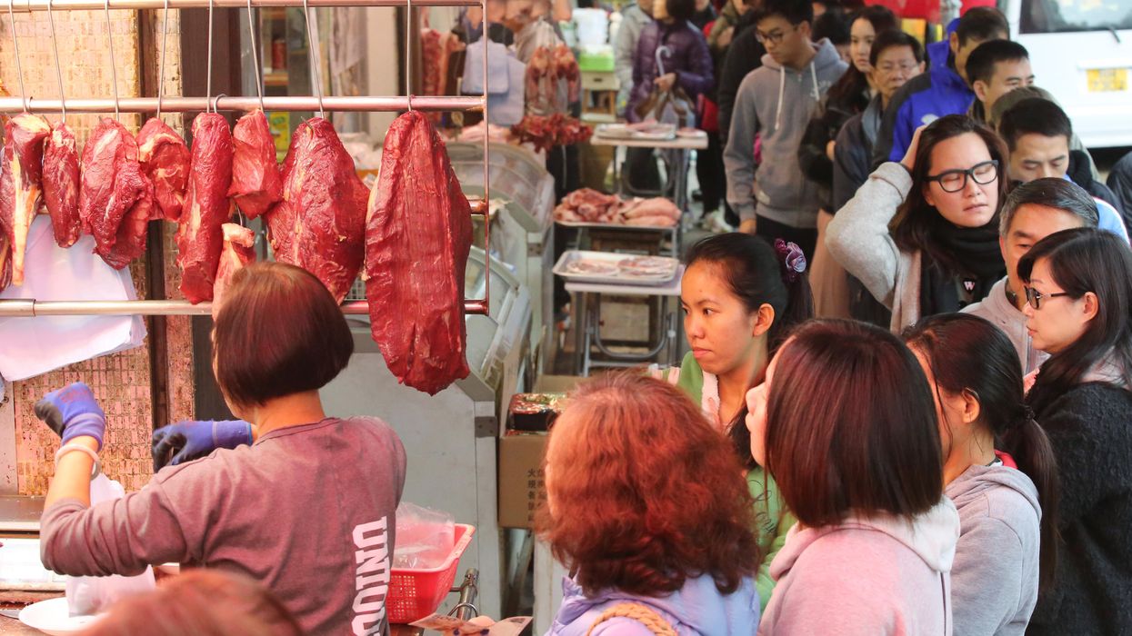 What Barry Commoner's Four Principles of Ecology Has to Do With China's Coronavirus