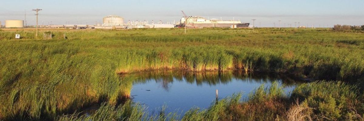 Wetlands and Calcasieu Pass LNG terminal.