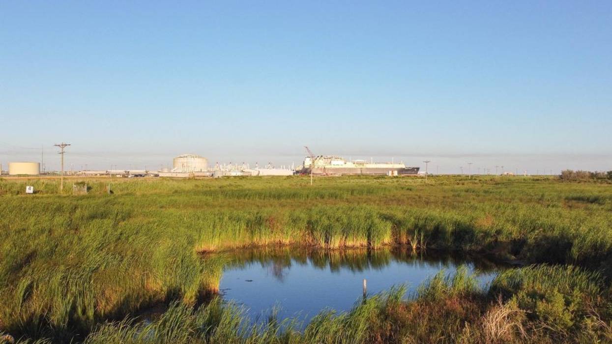 Wetlands and Calcasieu Pass LNG terminal.