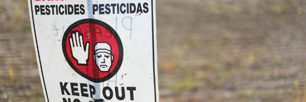 Dispatches from the War on Cancer: Detection as Prevention, Chronic Disease as Cure