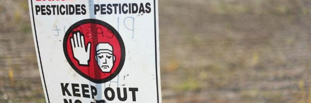 Dispatches from the War on Cancer: Detection as Prevention, Chronic Disease as Cure