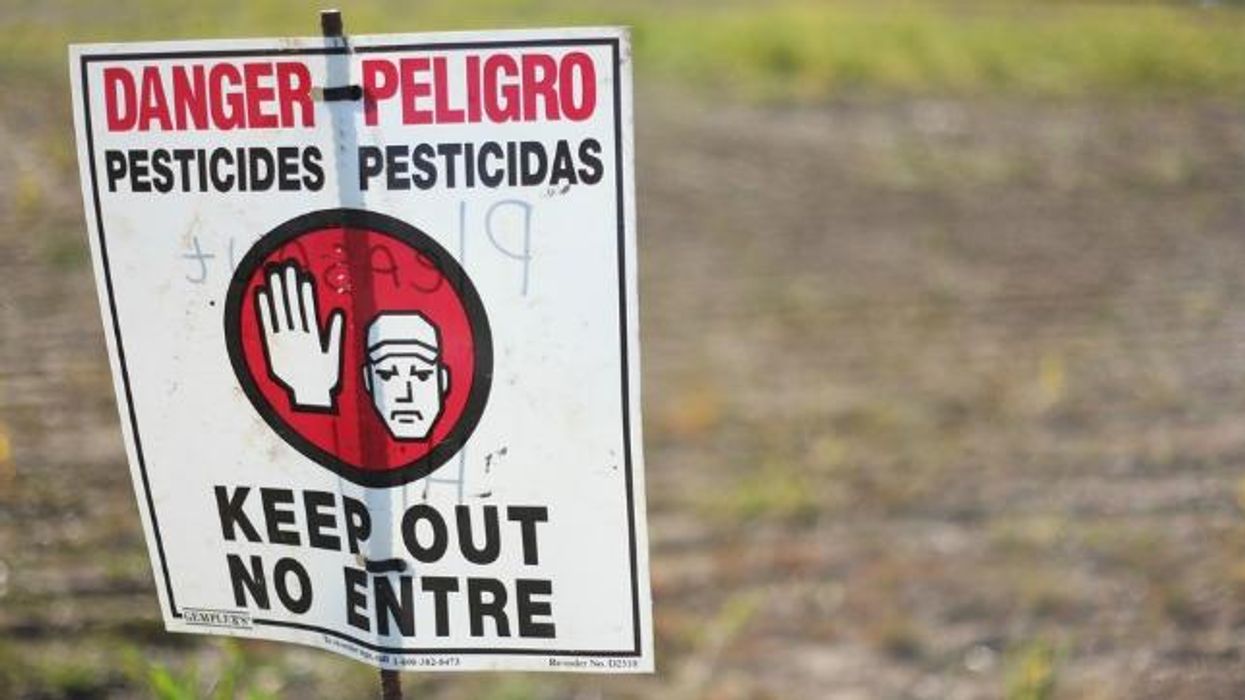 Dispatches from the War on Cancer: Detection as Prevention, Chronic Disease as Cure