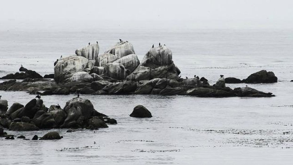 Sex, Rage Displacement, and Ecocide: Wanderings in an Interior Archipelago of the Colonized