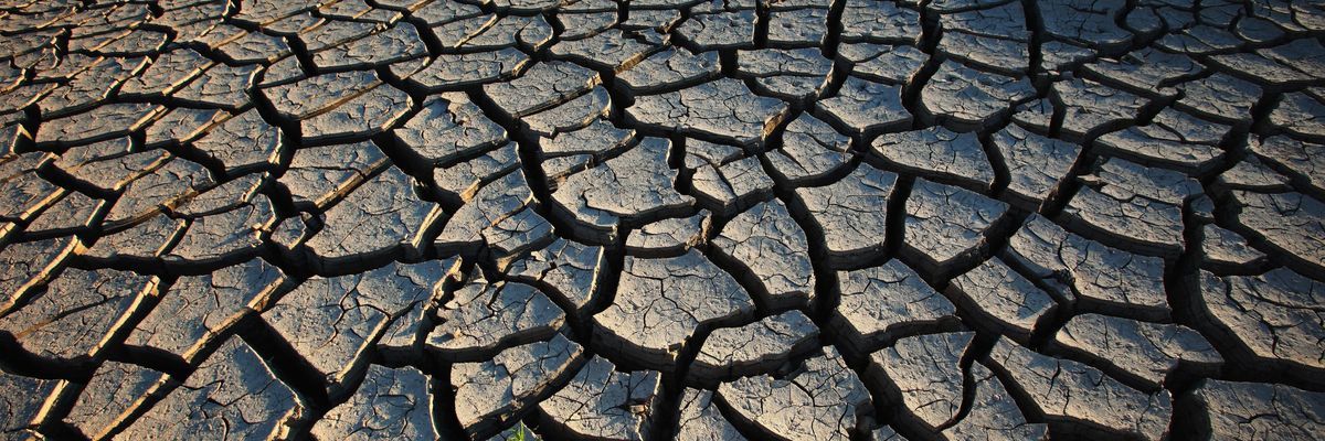 A Just Dystopia: Climate Activism Must Include Planning for the Worst-Case Scenario