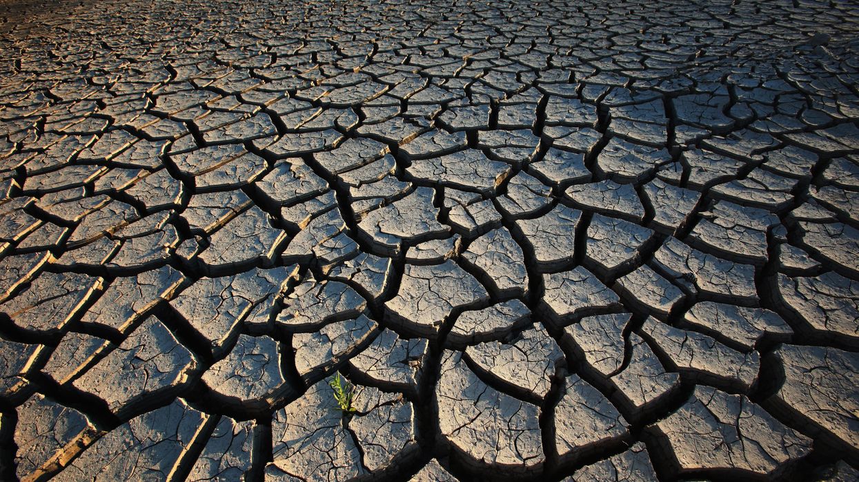 A Just Dystopia: Climate Activism Must Include Planning for the Worst-Case Scenario