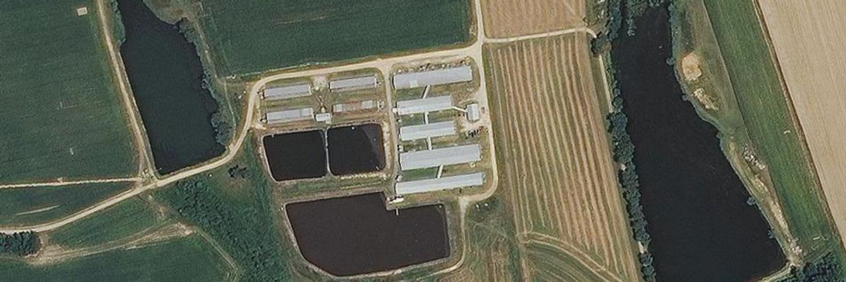 The Scary New Math of Factory Farm Waste