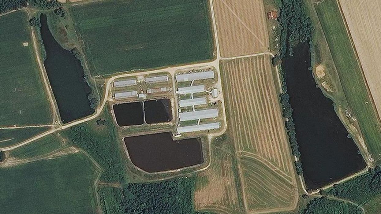 The Scary New Math of Factory Farm Waste