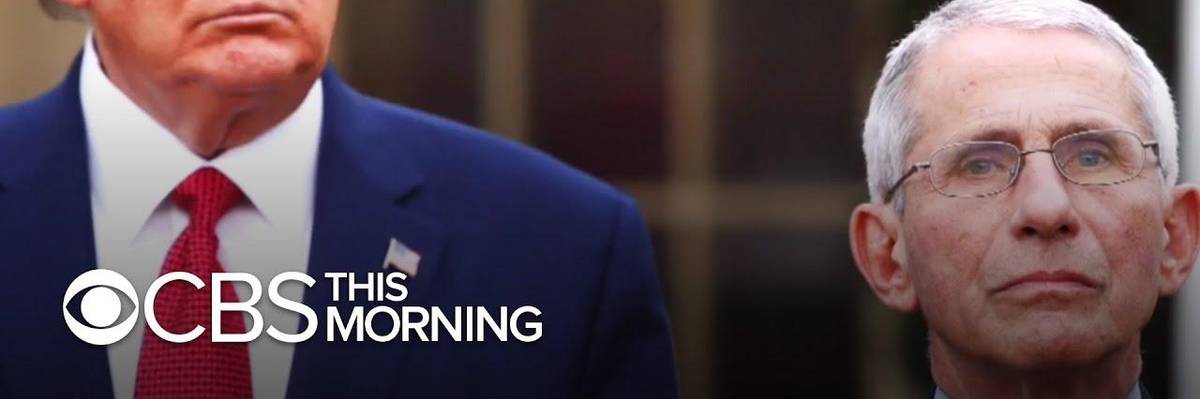 Trump vs Fauci? Undermining Science for Cult of Personality Politics Is Taking America Down