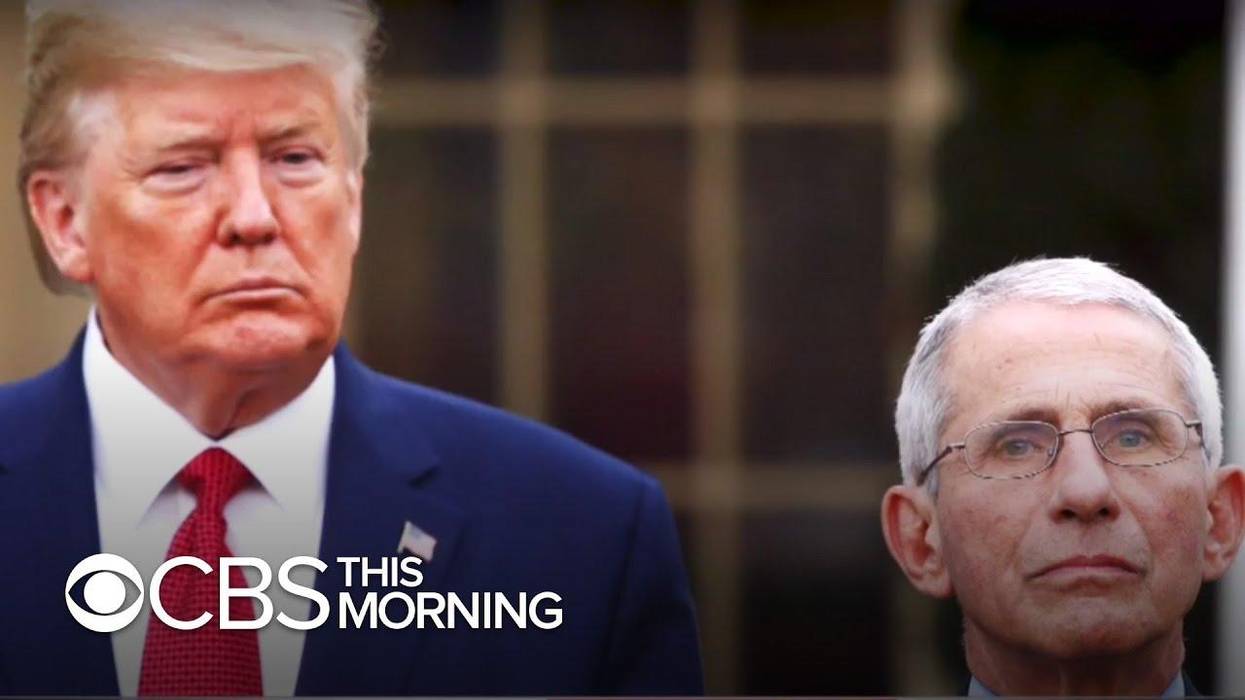 Trump vs Fauci? Undermining Science for Cult of Personality Politics Is Taking America Down