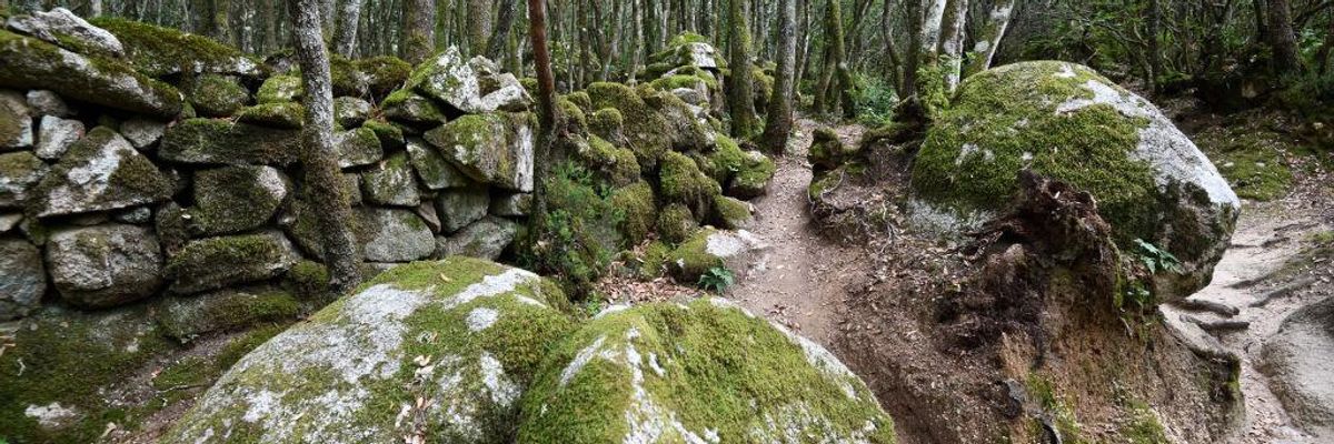 Transforming to an Ecological Civilization: The Alternative Is Unthinkable