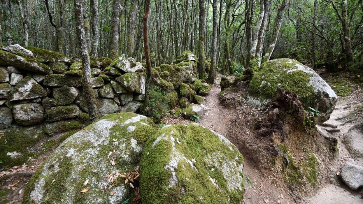 Transforming to an Ecological Civilization: The Alternative Is Unthinkable
